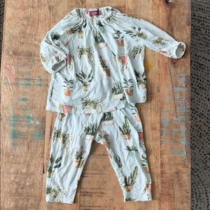 🌵Succulent Set - 12-18M 🌵